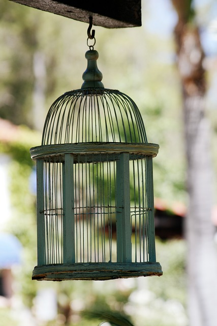 small bird cage